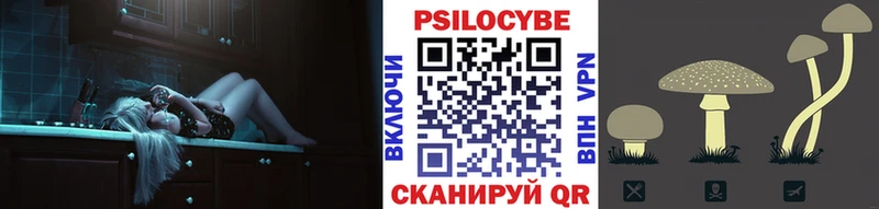 что такое   Урюпинск  Псилоцибиновые грибы Psilocybine cubensis 